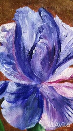 Картина маслом на холсте Ирисы