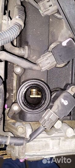 Двигатель QR20DE с Японии с документами