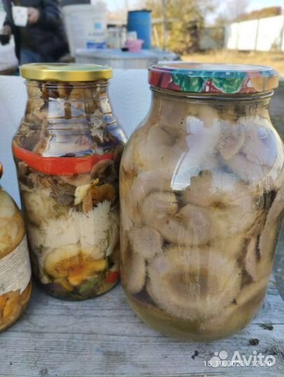 Грибы соленые