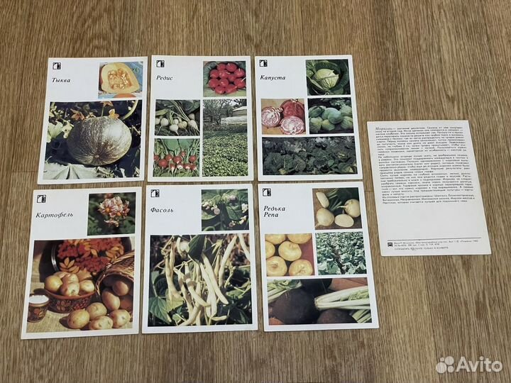 Открытки СССР (цена за всё) 1985г