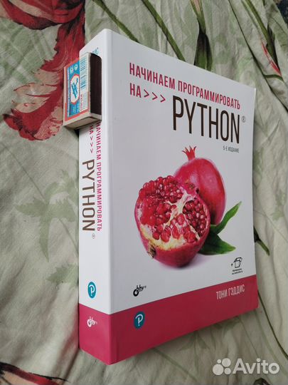 Начинаем программировать на Python