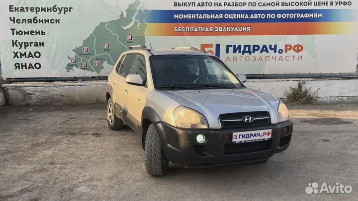 Обшивка двери задней левой Hyundai Tucson (JM) 83301-2E030