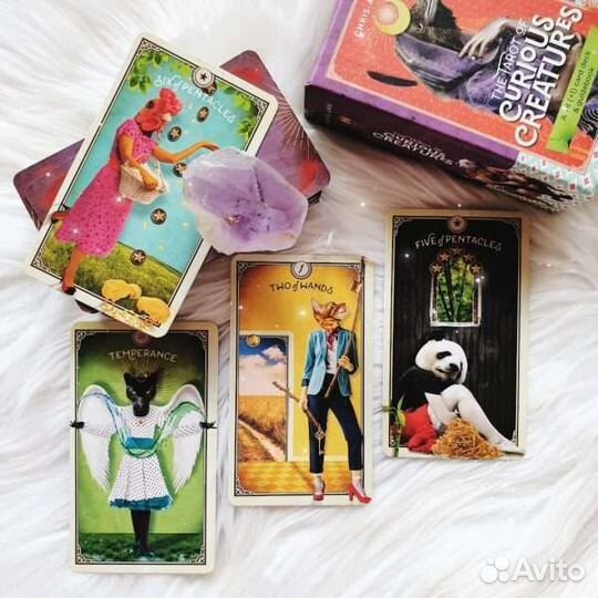 Таро Любопытных Существ Tarot Curious Creatures
