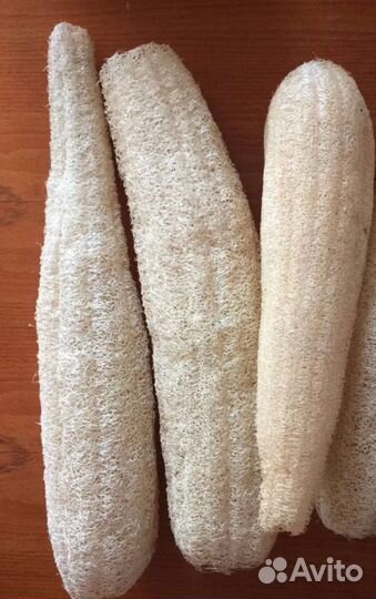 Мочалка Люффа египетская, семена 20 шт