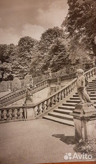 Schlösser und Gärten um Dresden Книга