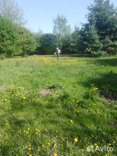 Покос травы