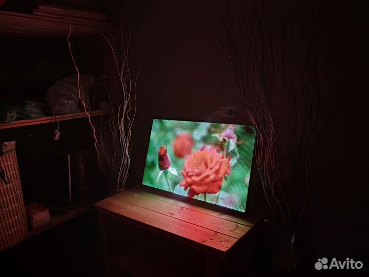 Реклама цветов, экран Дар33333