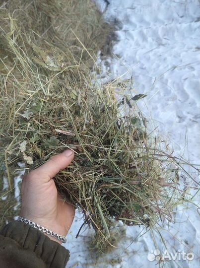 Сено луговое в тюках