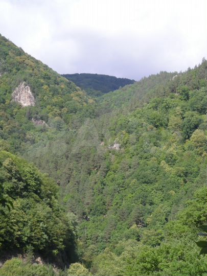 Участок 18 сот. (ИЖС)