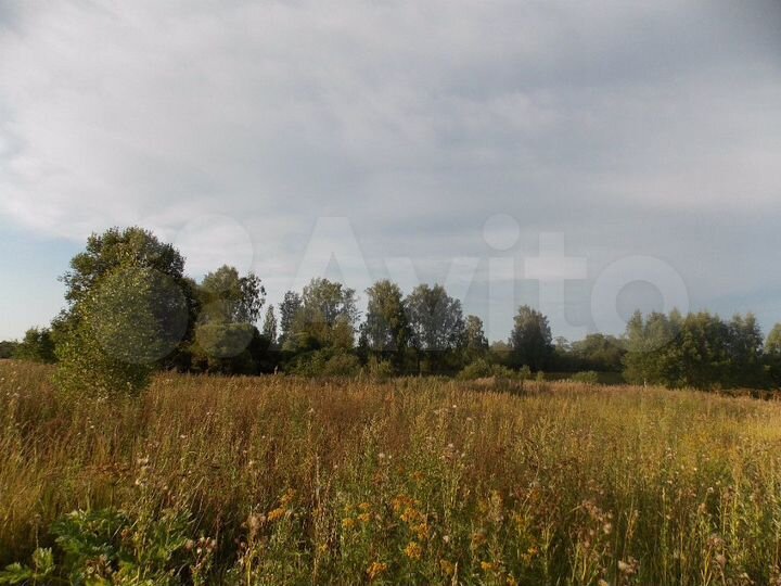 Участок 50 сот. (ИЖС)