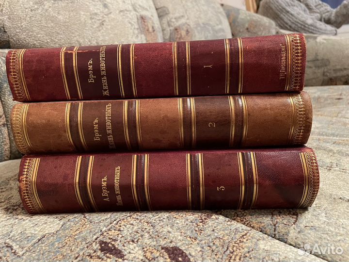 Жизнь животных. Брэма. Брэмъ А.Э. 1900 год