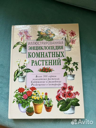 Энциклопедия комнатных растений