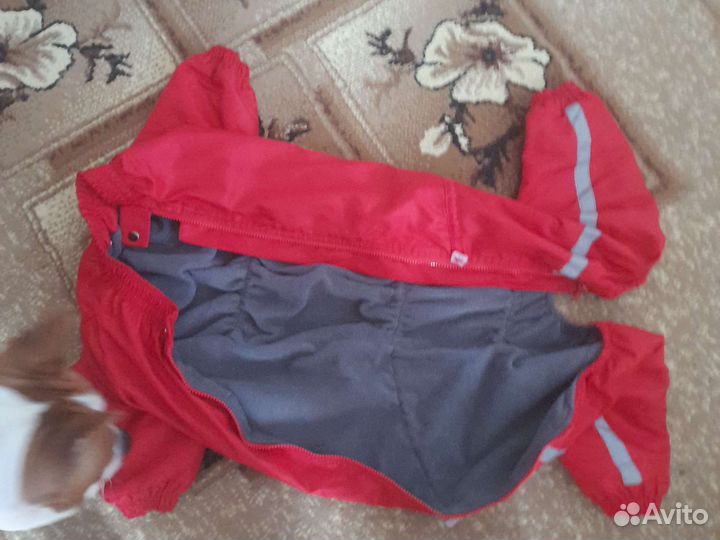 Костюм для средней породы девочка