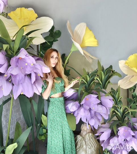 Цветы ростовые пионы