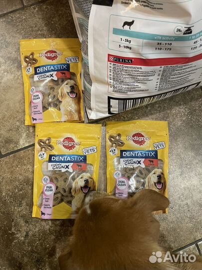 Корм для собак Purina pro plan 7 kg