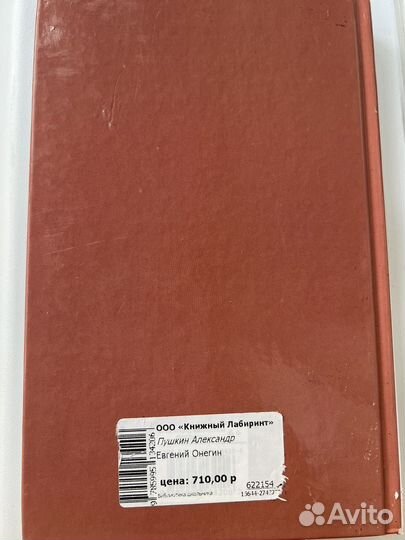 А. С. Пушкин Евгений Онегин школьная программа