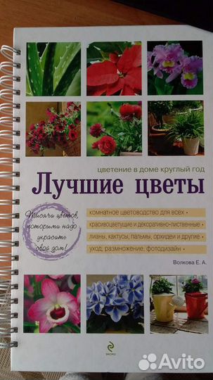 Книга