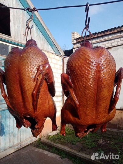 Домашнее копчение