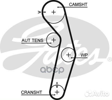 77111х29 HSN Ремень грм mitsubishi carisma, COL