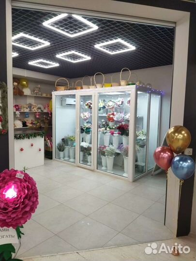 Цветочная камера 3000х1000