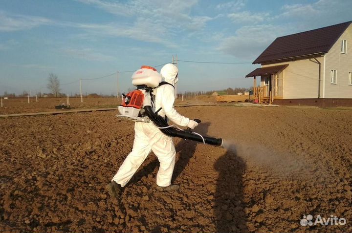 Уничтожение клопов тараканов лечение растений