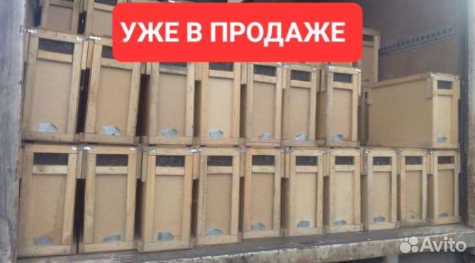 Пчелопакеты карника карпатка