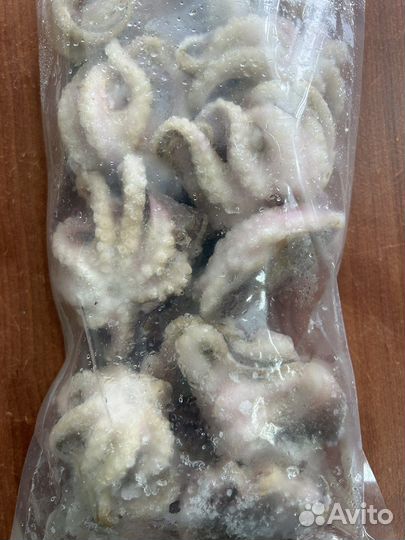 Осьминоги целые