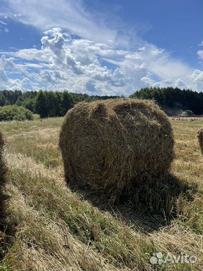 Солома в рулонах