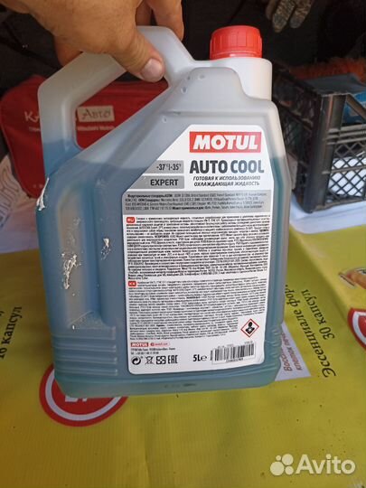 Антифриз Motul g 11