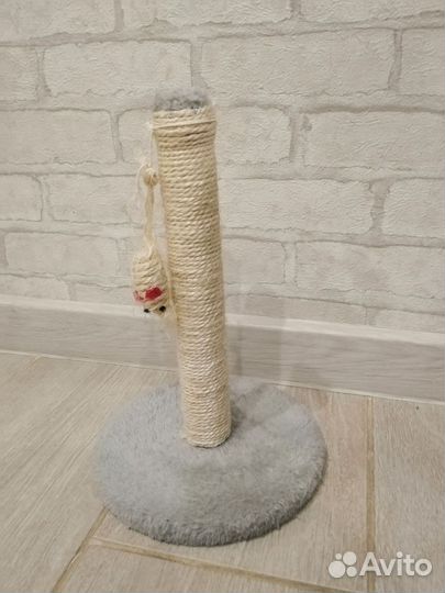 Когтеточка для котенка