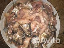Рыбные отходы: головы, кости, плавники, кишки