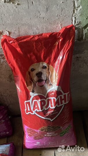 Корм для собак