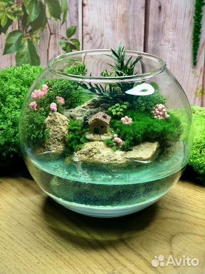 Моссариум с домиком и водоемом