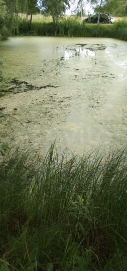 Участок 15 сот. (СНТ, ДНП)