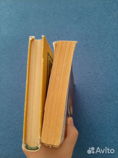 М.Е.Салтыков-Щедрин. История одного города. Сказки