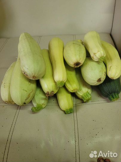 Кабачки свежие