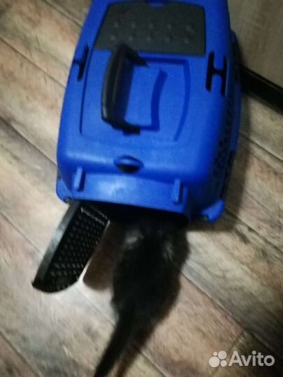 Переноска для животных пластиковая