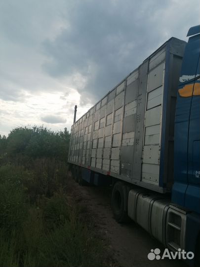 Полуприцеп для перевозки скота Lecitrailer P3S, 1998