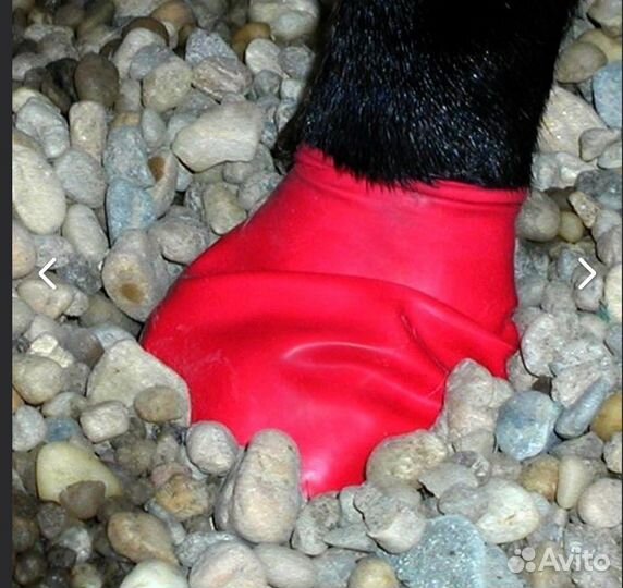 Силиконовая обувь для собак от реагентов и грязи