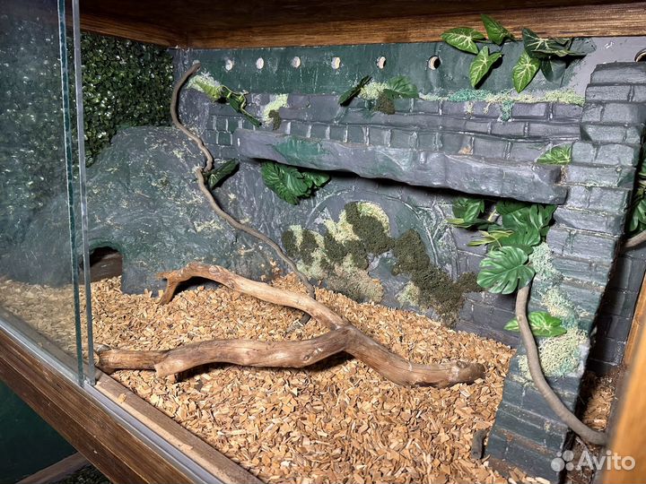 Террариум для рептилий