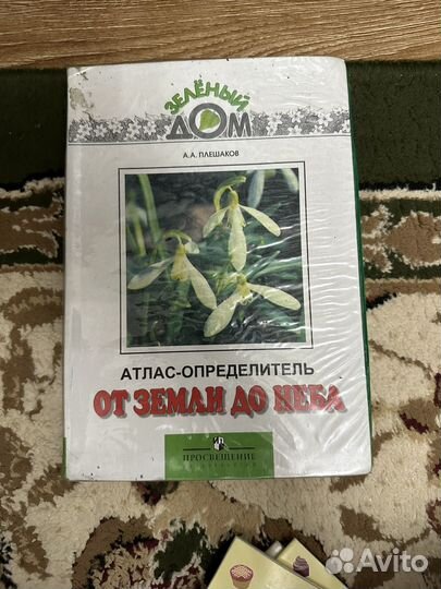 Атлас
