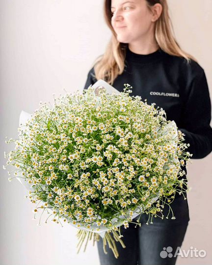 Букет из ромашек 11 21 31 41 51 101