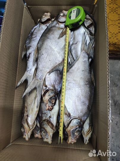 Лещ вяленый