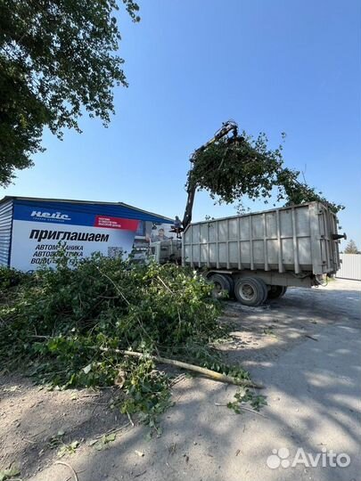 Спил деревьев, расчистка участка измельчение веток