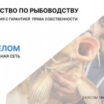 Агентство по рыбоводству в городе Будапешт, Будапешт