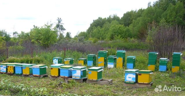 Продаются 8 рамочные ульи