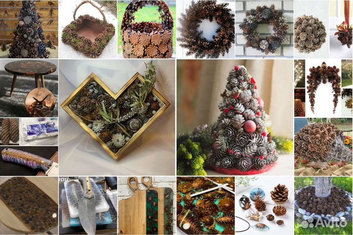 Шишки гималайского кедра, семена