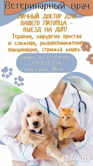 Ветврач выезд на дом