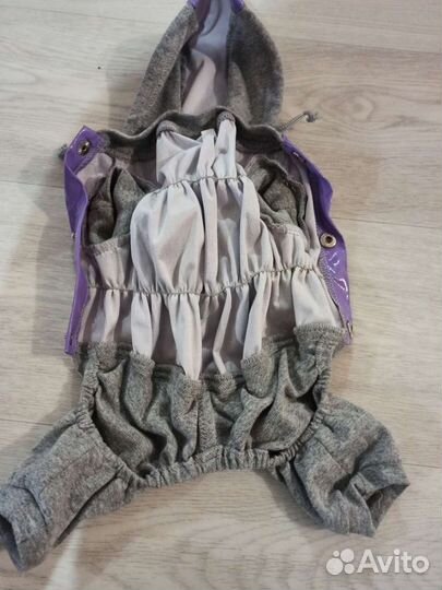 Костюм на собаку