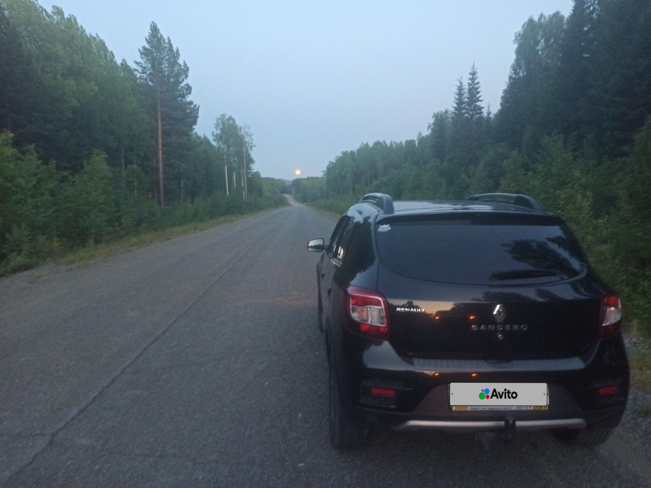 Renault Sandero Stepway: фото владельца